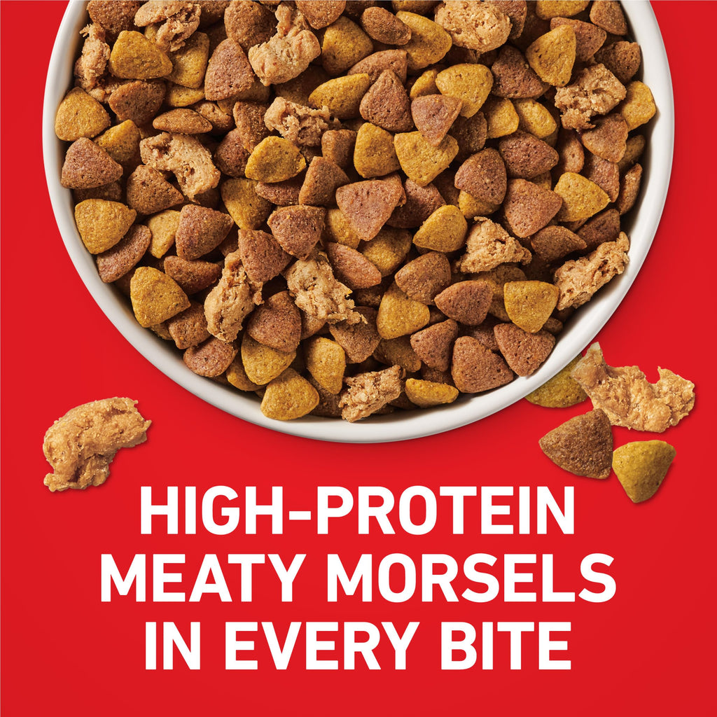 Chicken & Rice Formula Dry Dog Food 8 lb Bag J277